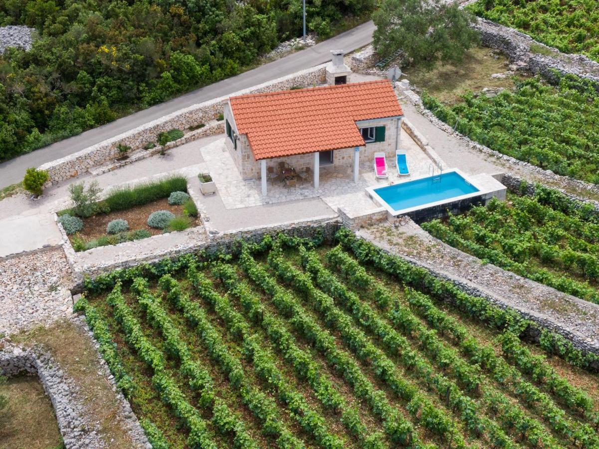 Vineyard House & Olive Grove House Villa Racisce Exterior photo